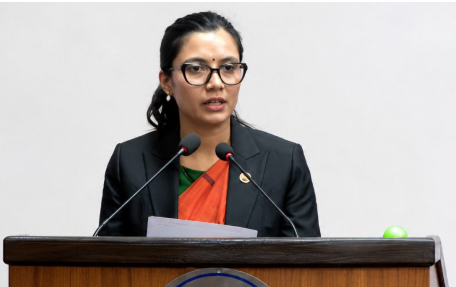 प्रतिनिधिसभा निर्वाचनसम्बन्धी विधेयक राष्ट्रिय सभाबाट पारित